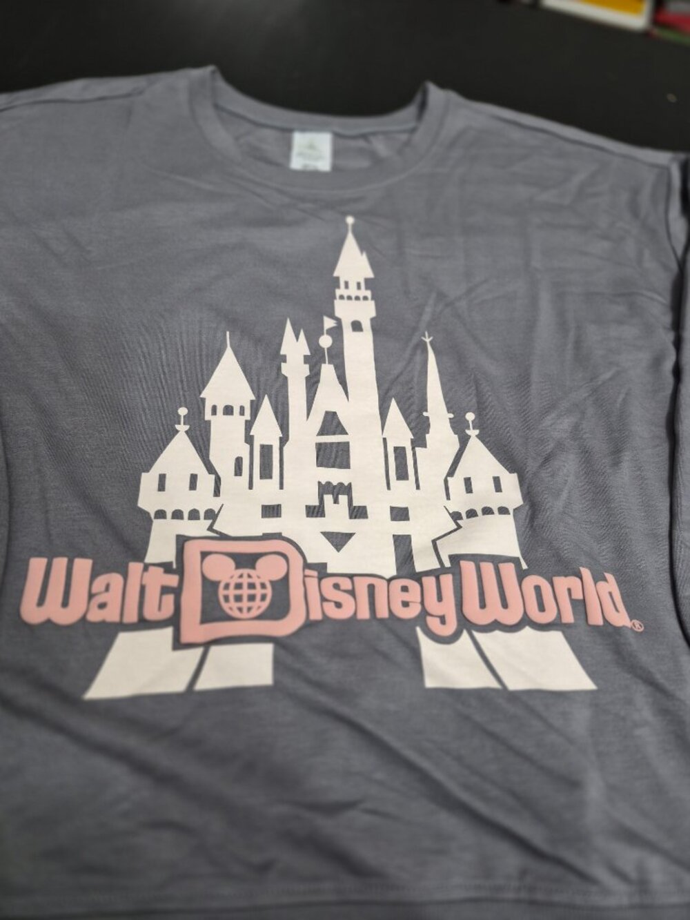Walt Disney World Castle Gray Sweatshirt